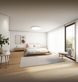 Xiaomi Xiaomi Smart Ceiling Light D40