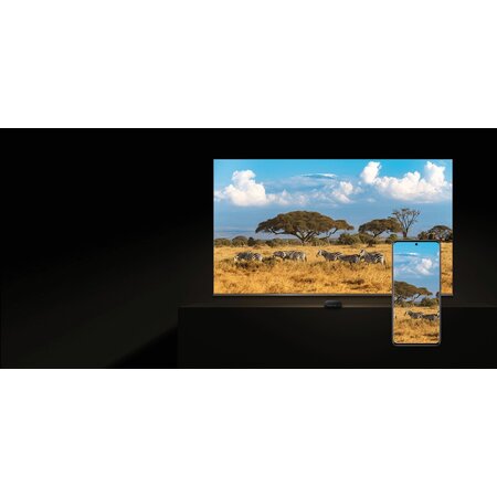 Xiaomi Xiaomi TV Box S (3rd Gen)