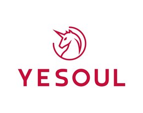 Xiaomi Yesoul