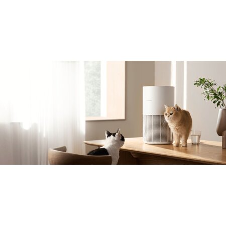Xiaomi Xiaomi Purificateur d'Air Intelligent Animaux