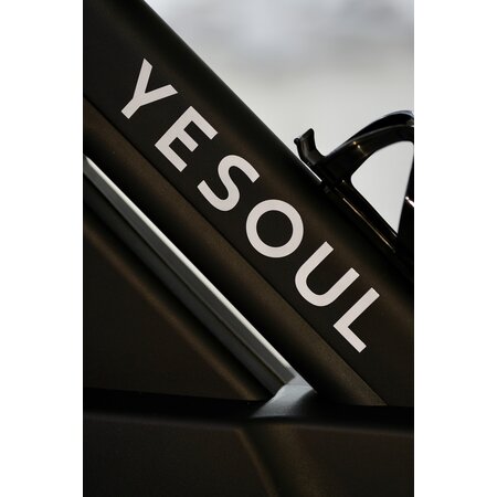 Xiaomi Yesoul Xiaomi Yesoul Spinning Bike C1A