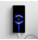 Xiaomi Xiaomi 6A Braided USB-C to USB-C Cable