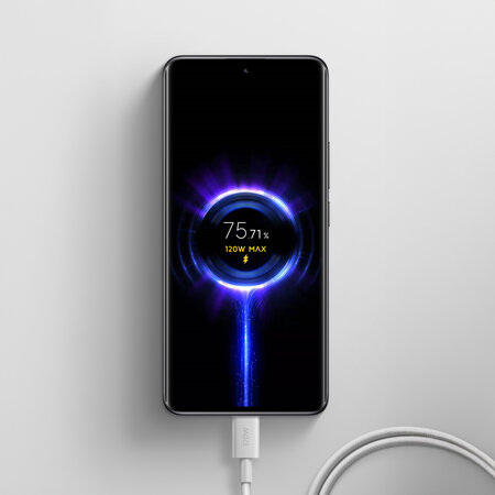 Xiaomi Xiaomi 6A Gevlochten USB-C naar USB-C Kabel