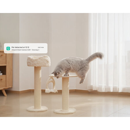 Xiaomi Xiaomi Smart Camera C201