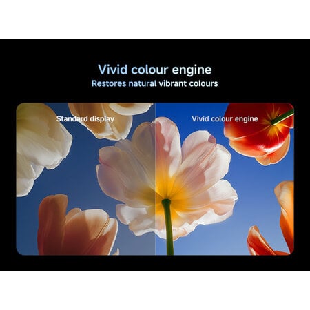 Xiaomi Xiaomi TV S Mini LED 75 Inch 2026