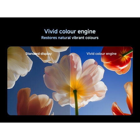 Xiaomi Xiaomi TV S Mini LED 75 pouces 2026