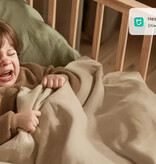 Xiaomi Xiaomi Smart Camera C302