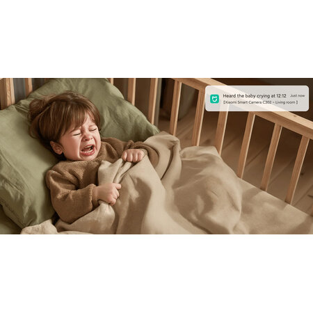 Xiaomi Xiaomi Smart Camera C302