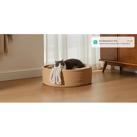 Xiaomi Xiaomi Smart Camera C302