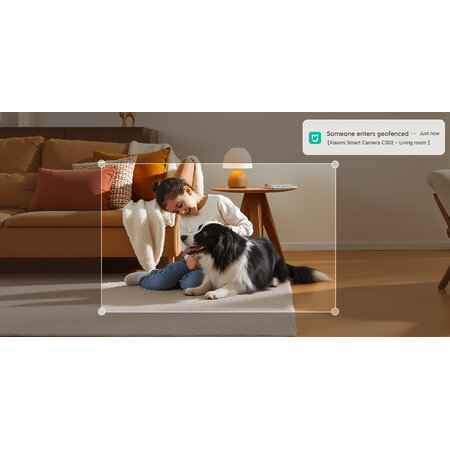 Xiaomi Xiaomi Smart Camera C302