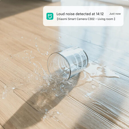 Xiaomi Xiaomi Smart Camera C302