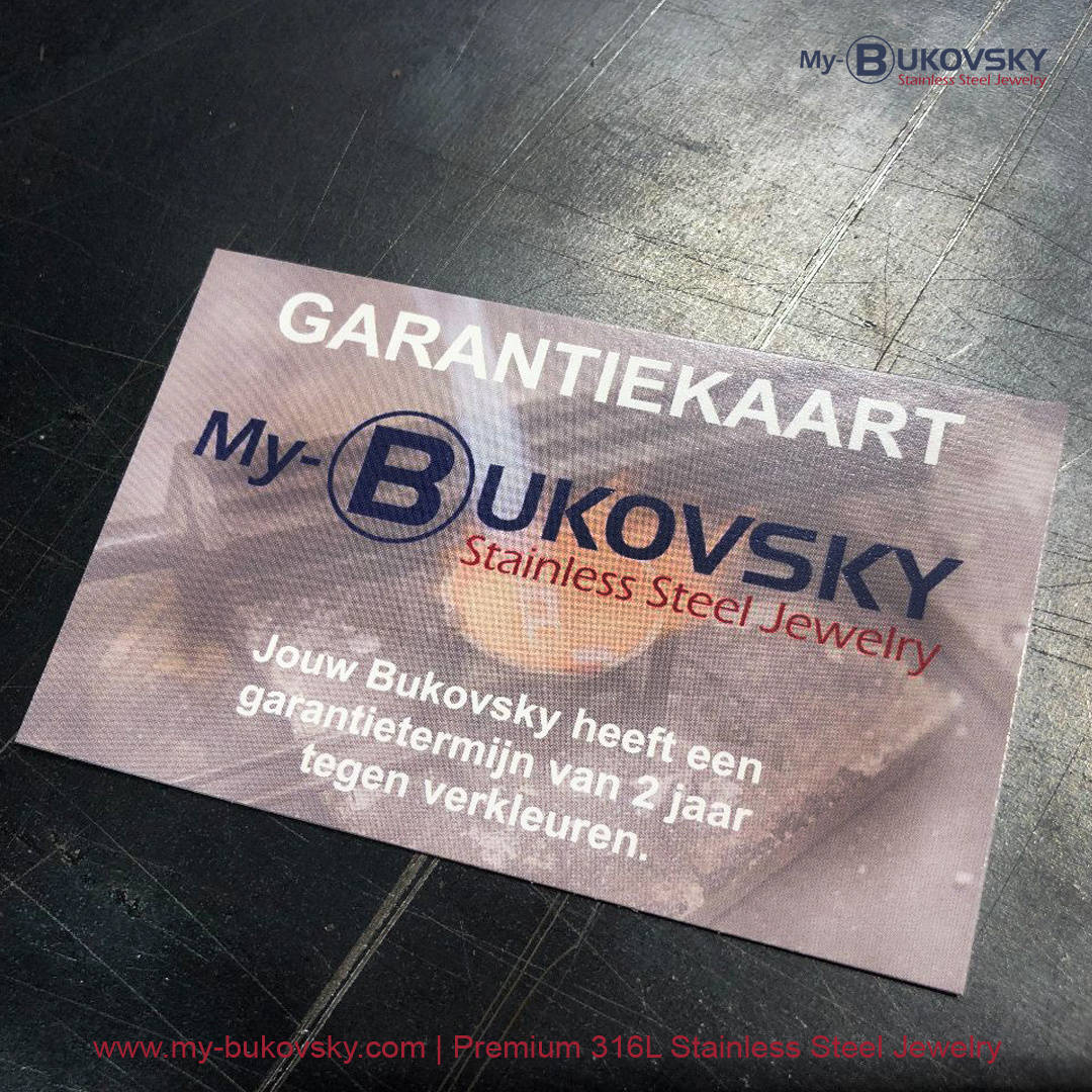 Stalen Heren Armband Bukovsky 