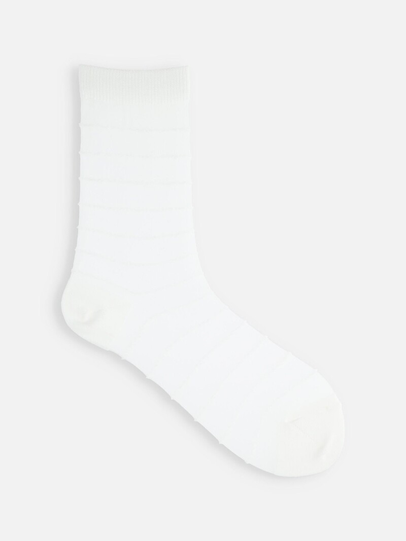 Transparent Stripe Low Crew Socks