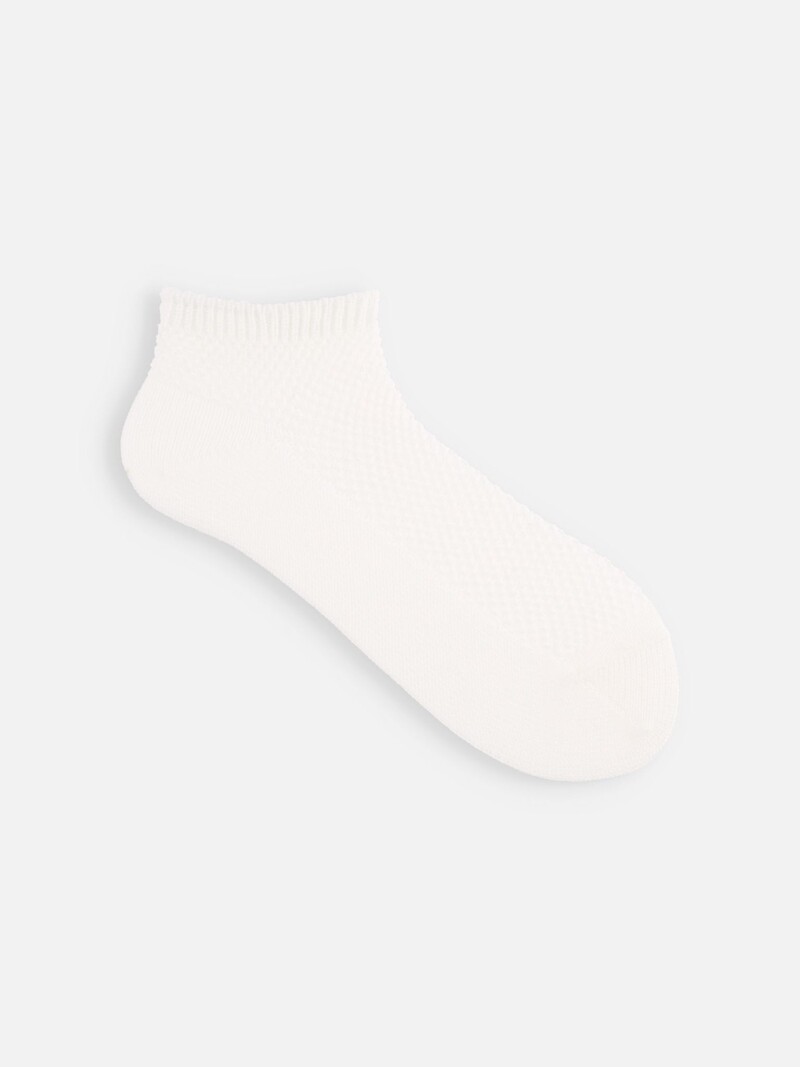 Cotton Mesh Trainer Socks