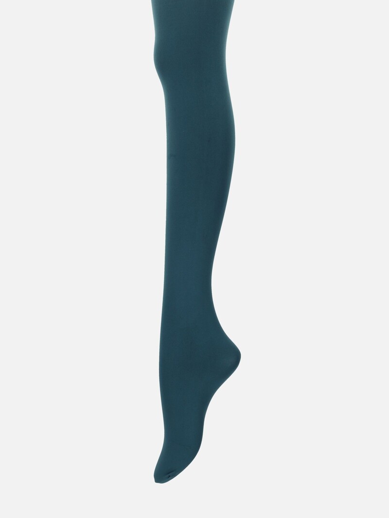 Colour Premium panty's 80D L