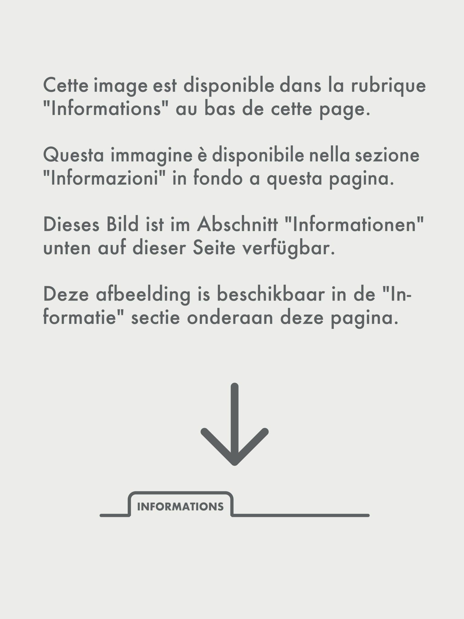 Colour Premium panty's 80D L