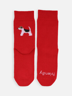 011148411 MC motif chien Friendly