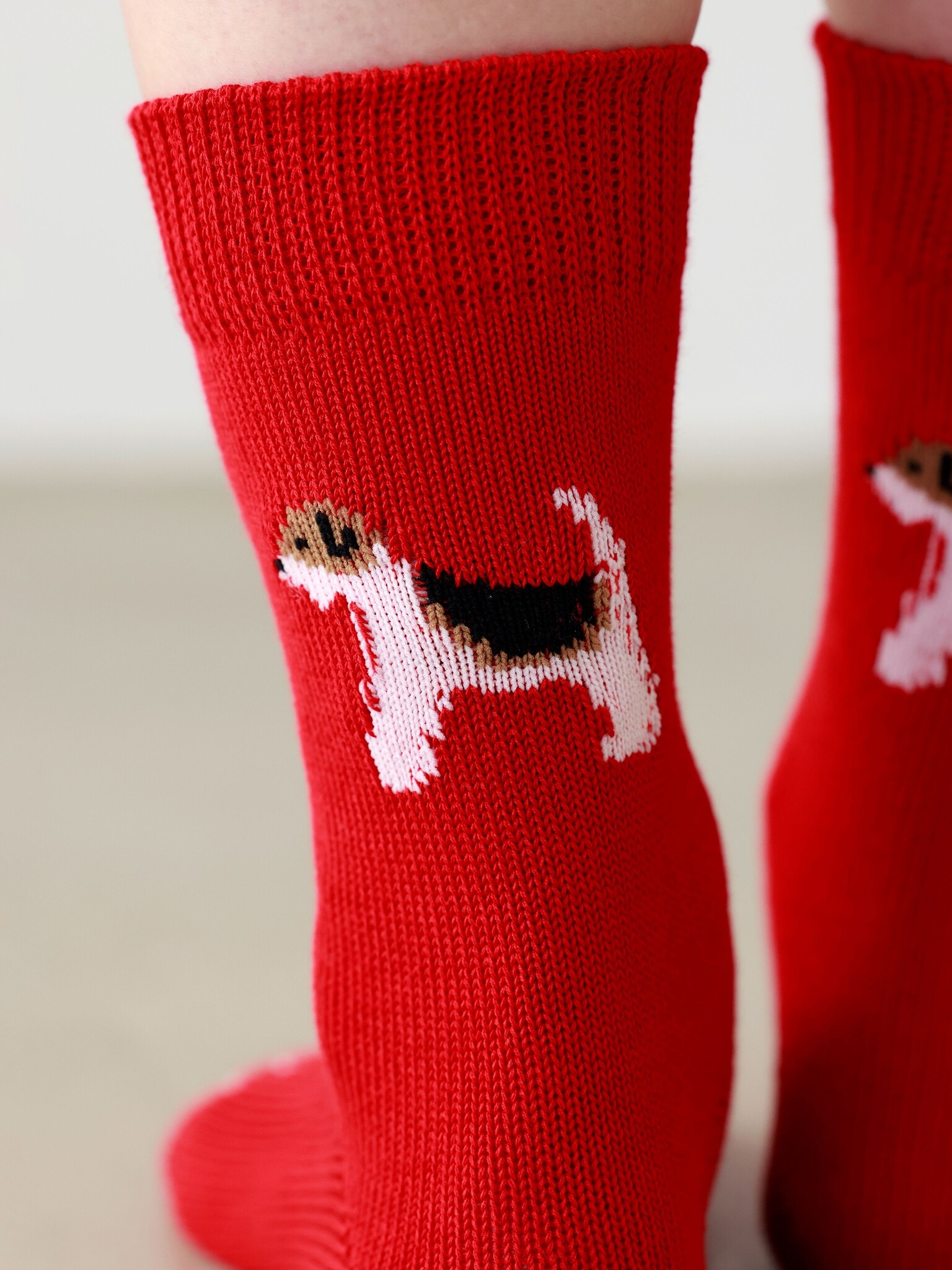 Mi-chaussettemotif chien Friendly