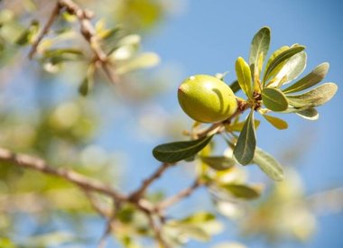 Cosmetica  met Arganolie