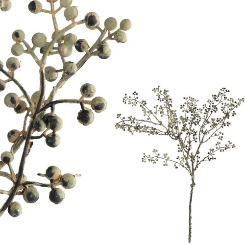 PTMD PTMD Berry Plant Grey peral berries spray PTMD PTMD Berry Plant Grey peral berries spray