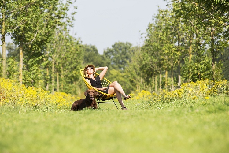 Is the Acapulco an outdoor chair?