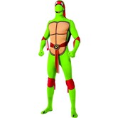 turtles raphael