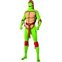 turtles raphael