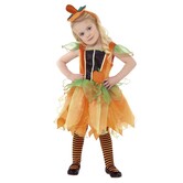 pumpkin fairy baby pompoen