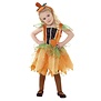 pumpkin fairy baby pompoen