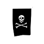 banner piraat 40 x 60 cm