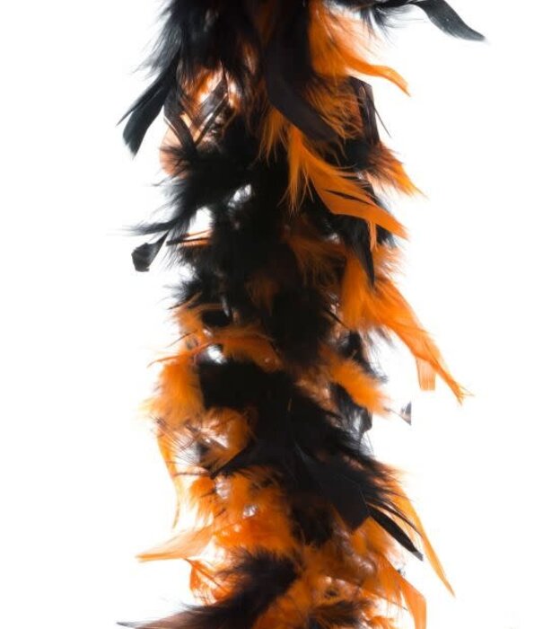 orange/black boa