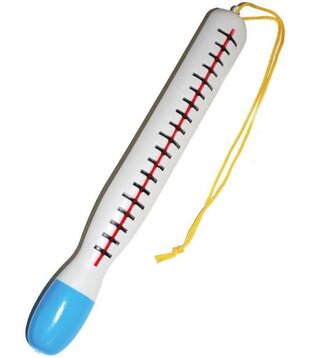 thermomètre 30 cm