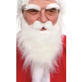 beard, mustache and eyebrows white