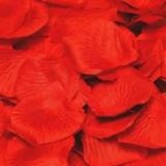 White rose petals 100 g