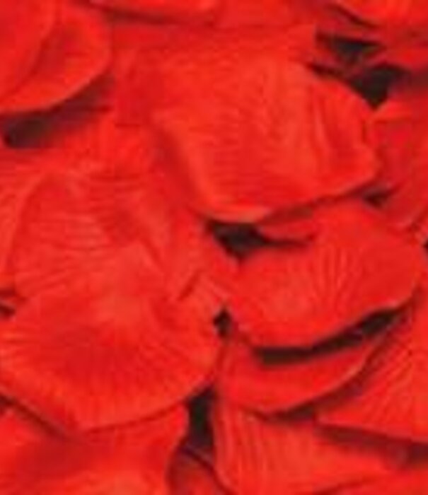Pétales de rose blanche 100 g