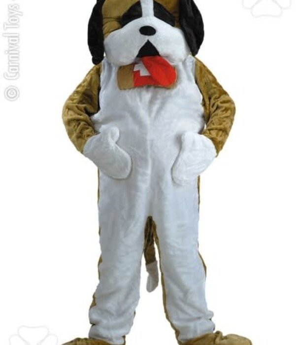 Huis Baeyens Mascotte St Bernard