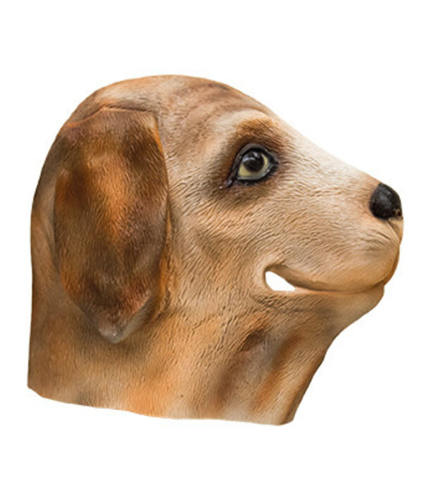 masker latex hond