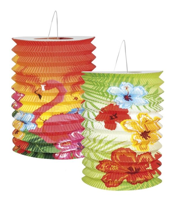 Lanterne hawaïenne 2 assorties (1 pièce)