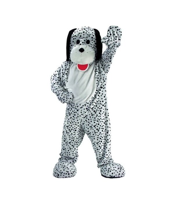 Huis Baeyens Mascotte dalmatier