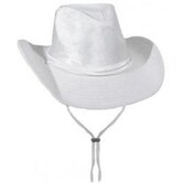 cowboy hat velvet white