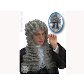 Louis XIV wig gray