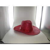 Cowboyhoed rood