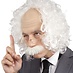 pruik professor met snor en bril