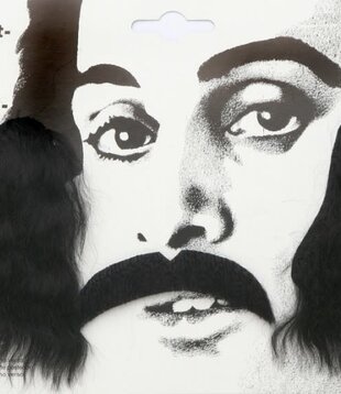 Ensemble moustache + favoris BLONDE