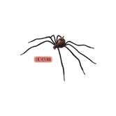 Araignées sanglantes flexibles