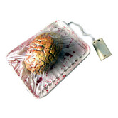 cerveau de boucher sanglant