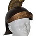 Helm Romein volwassenen