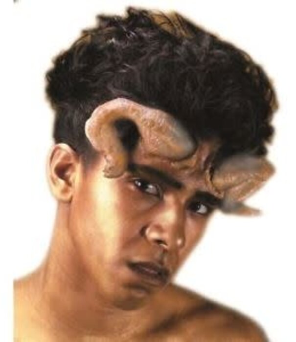 Corne de bélier Reel F/X