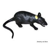 stretchy rat