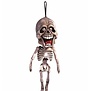 hanging skeleton geraamte skelet